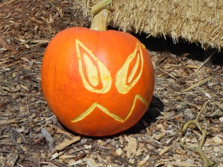 Stern, Nipomo Pumpkin Patch best carving idea